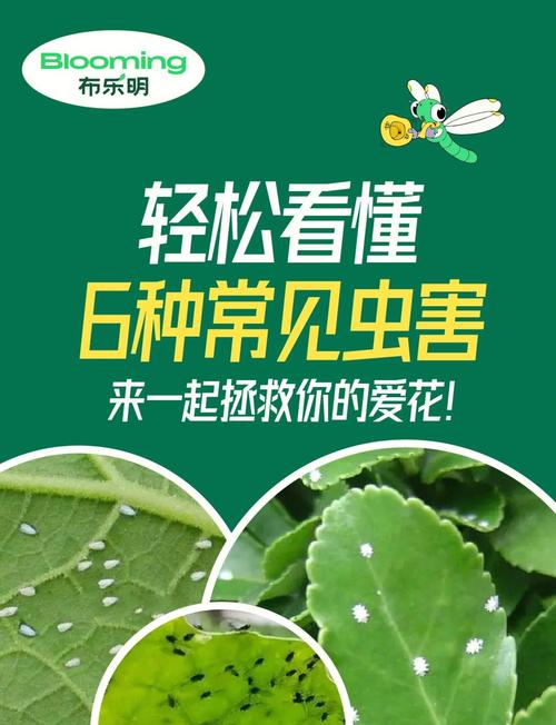 植物遭遇虫害的SOS信号（植物害虫的危害症状）