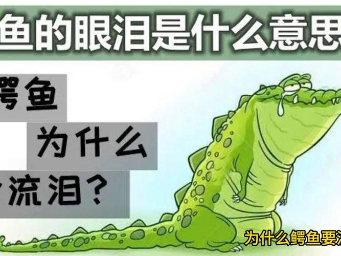 鳄鱼眼泪的化学真相(鳄鱼眼泪是为了排除体内多余的什么成分)