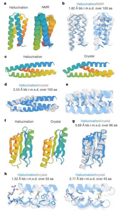 人工智能设计的新蛋白质(人工智能 蛋白质结构)