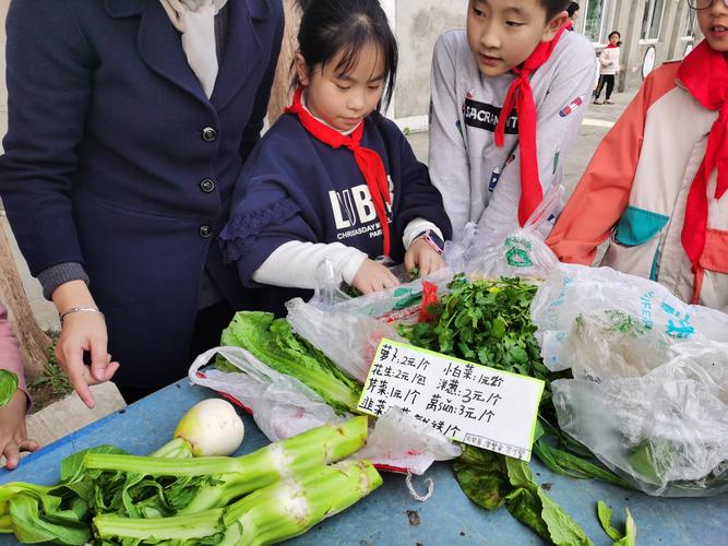 在菜市场实践行为艺术(关于在菜市场的社会实践活动)
