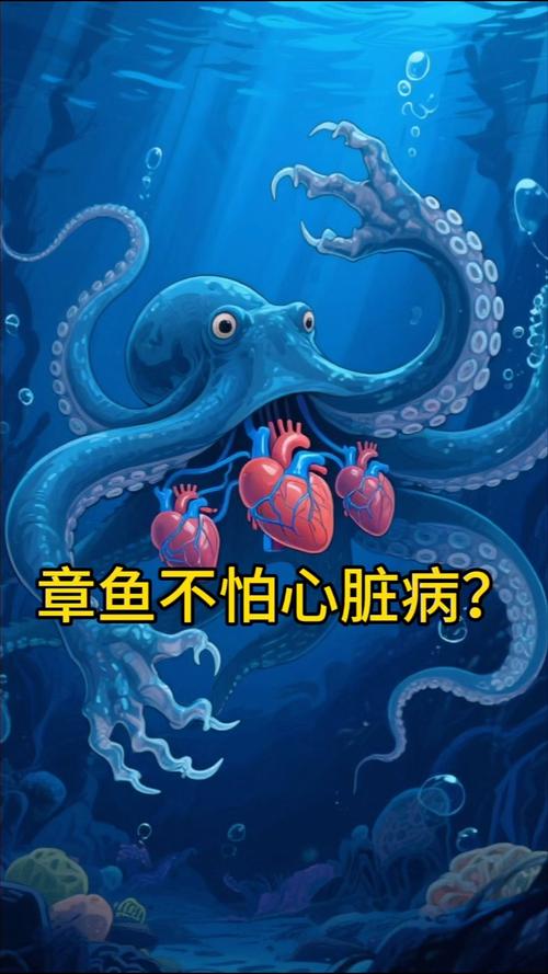 章鱼三颗心脏的进化逻辑(章鱼的三个心脏有什么用)