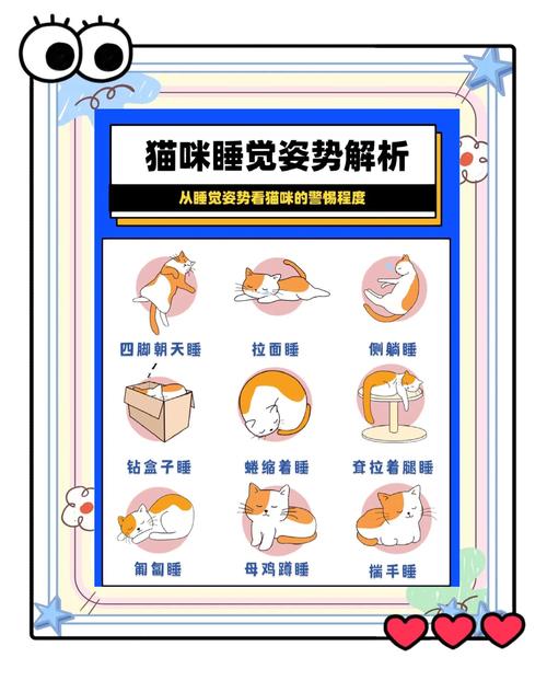 如何证明你家的猫是卧底(怎么看猫是不是家养的)