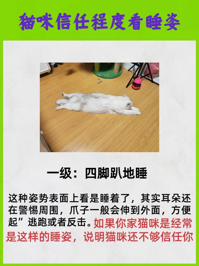 如何证明你家的猫是卧底(怎么看猫是不是家养的)