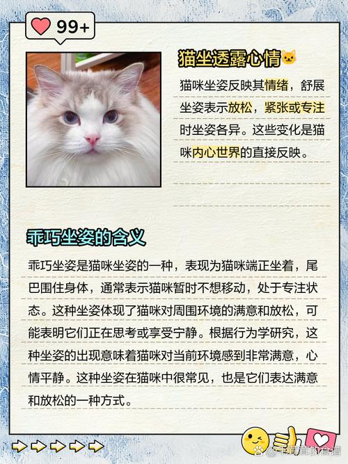 用博弈论解释猫的行为（用博弈论解释猫的行为特征）