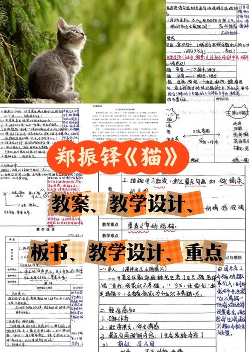 用博弈论解释猫的行为（用博弈论解释猫的行为特征）