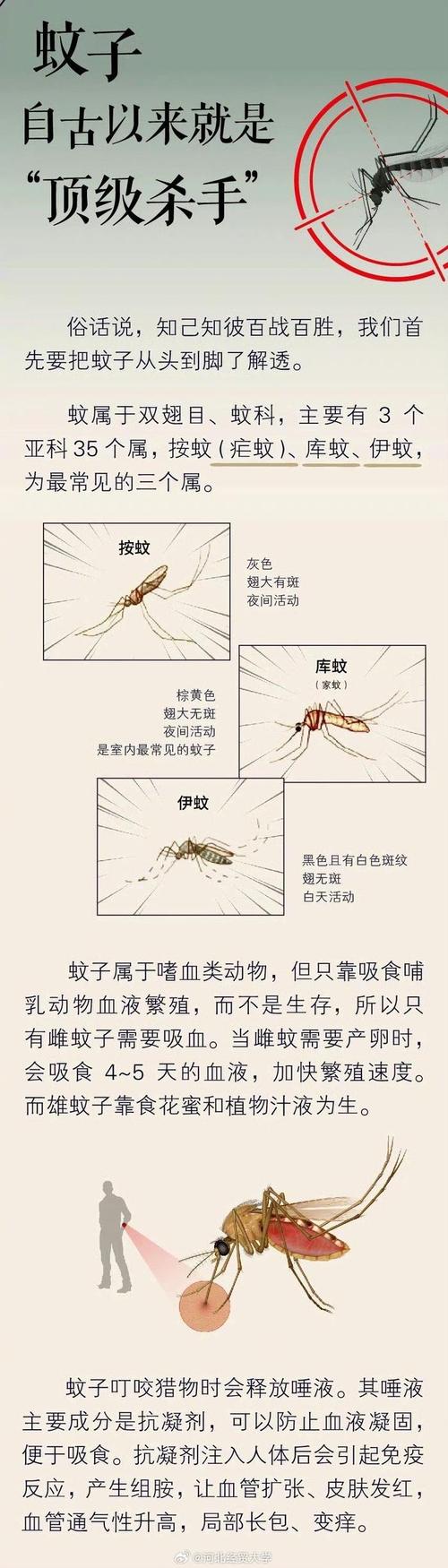 用《民法典》规范蚊子吸血(蚊子吸血标准)