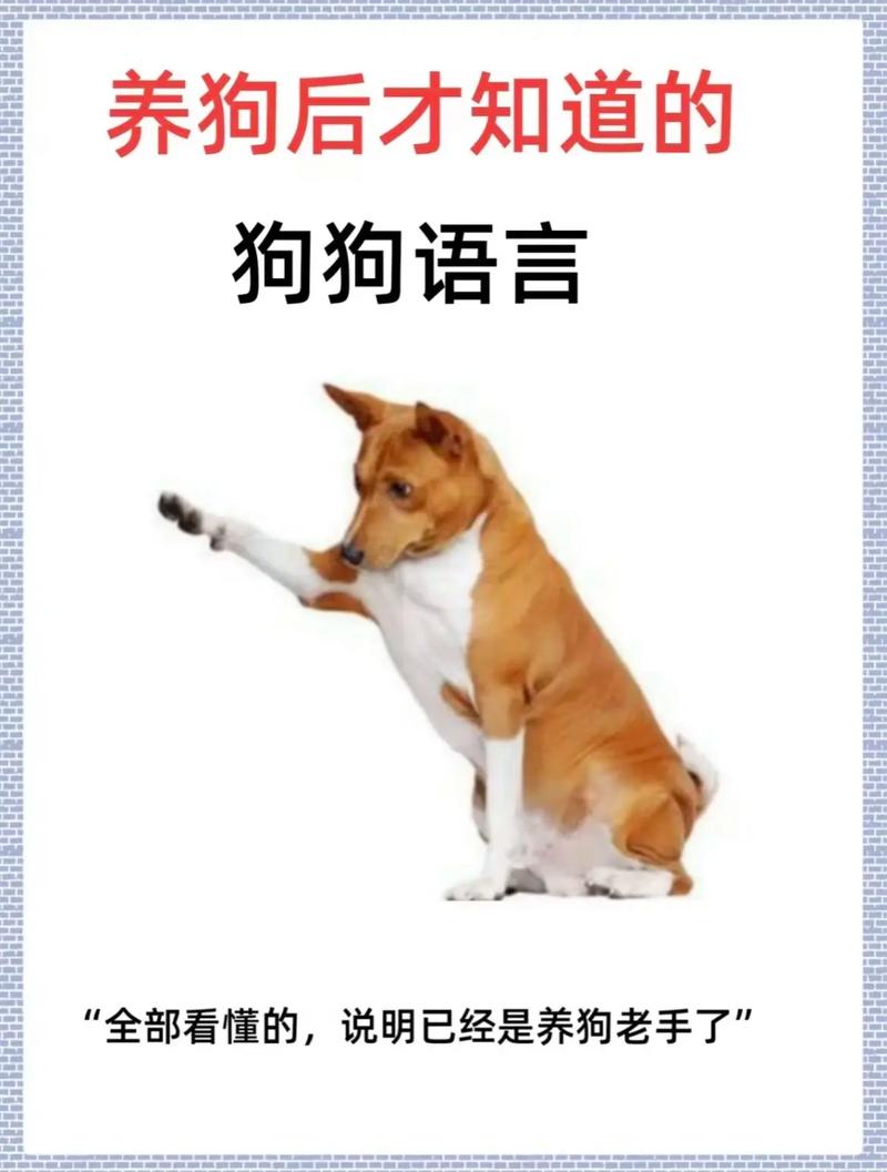 宠物成精的100个证据(形容宠物成精的句子)