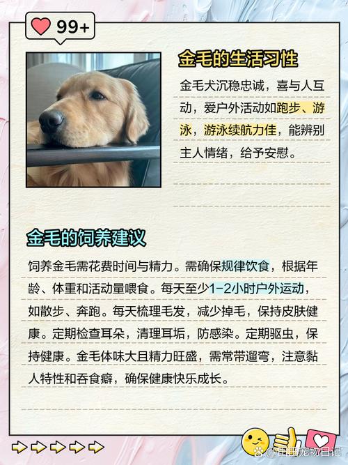 宠物成精的100个证据(形容宠物成精的句子)