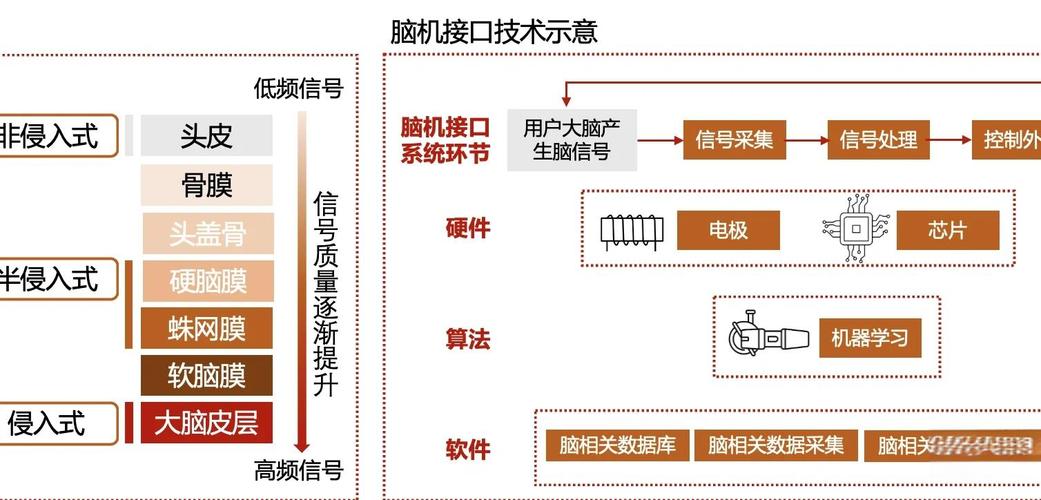 脑机接口的伦理红线(脑机接口的伦理问题及对策)