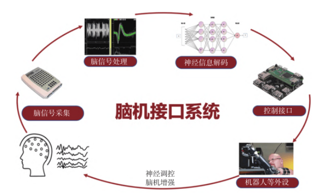 脑机接口的伦理红线(脑机接口的伦理问题及对策)