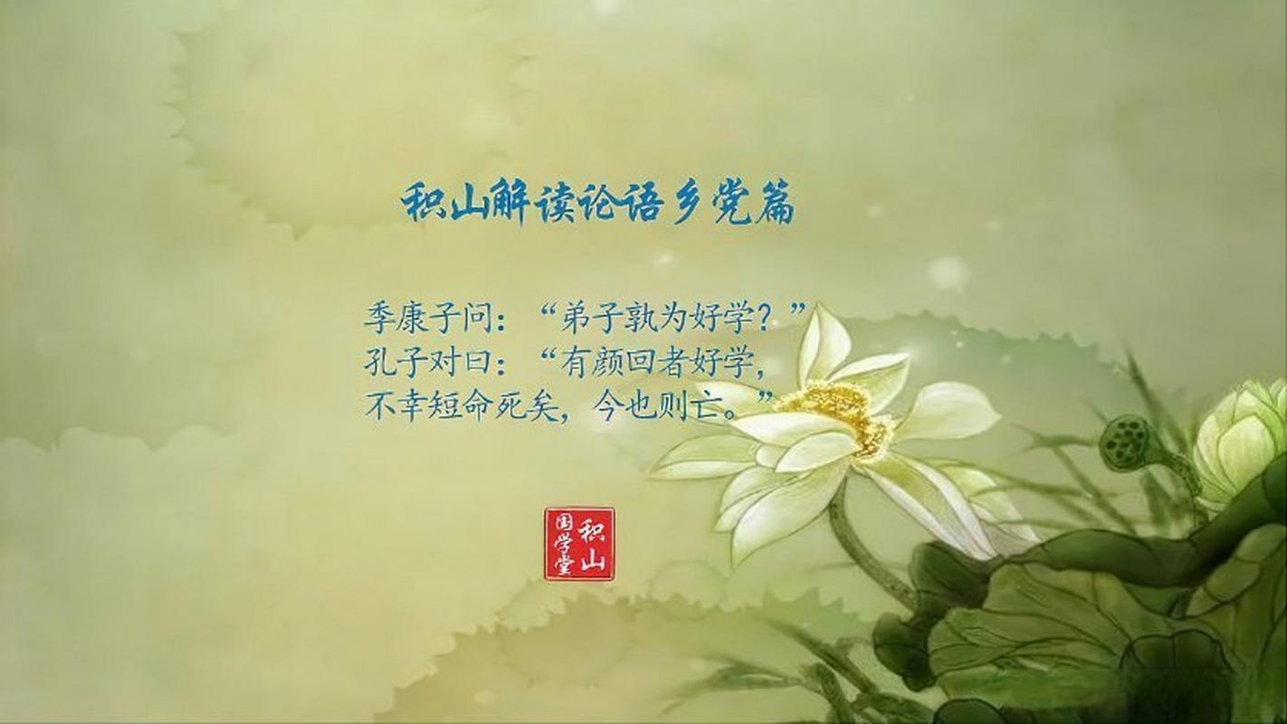 用短视频解读《论语》(论语小视频全集)