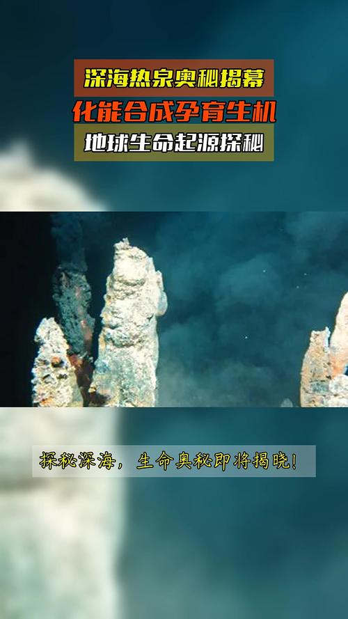 深海热泉生态圈启示录(深海热泉生态系统中的能量最初来源于)