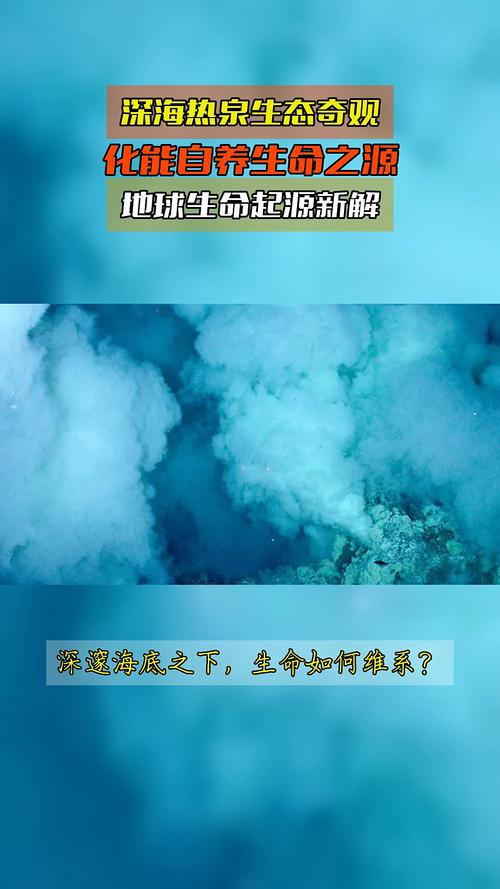 深海热泉生态圈启示录(深海热泉生态系统中的能量最初来源于)