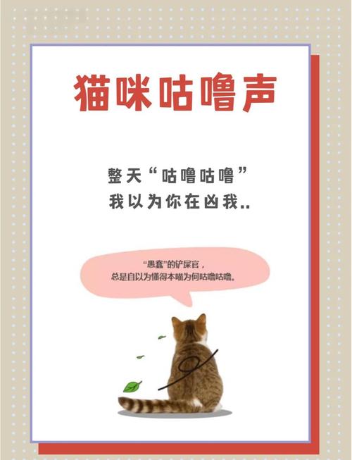 猫呼噜声的治疗功效(猫呼噜声的治疗功效与作用)