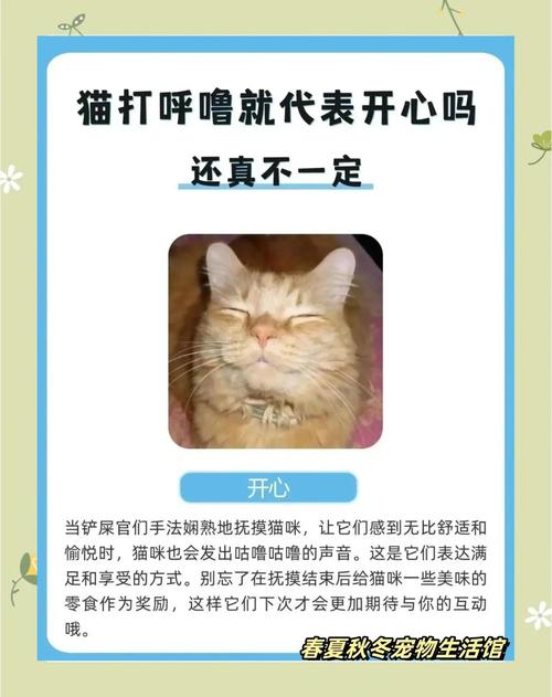 猫呼噜声的治疗功效(猫呼噜声的治疗功效与作用)