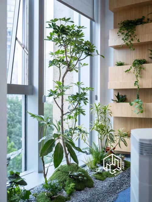 包含打工人办公室植物生存报告的词条