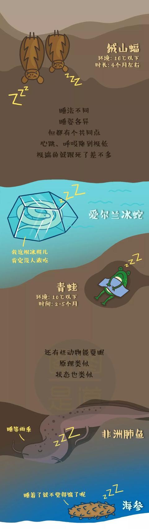 人类冬眠技术伦理审查(人类冬眠的坏处)