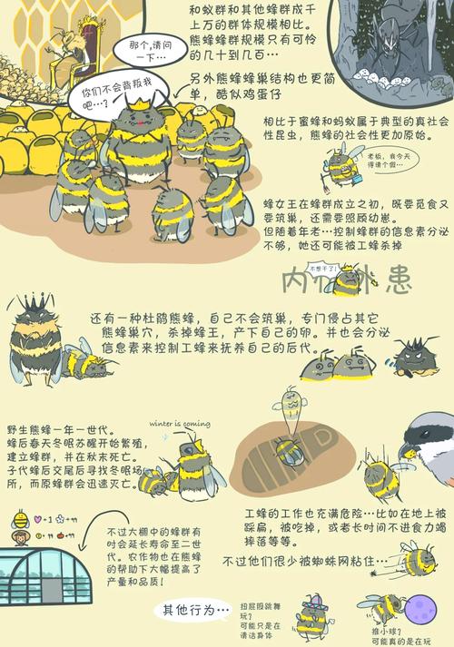 蜜蜂民主决策的神经机制(蜜蜂效应是什么意思)