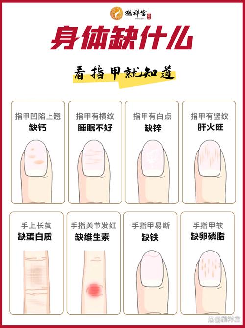 指甲生长速度与月相(指甲生长速度与年龄有关吗)