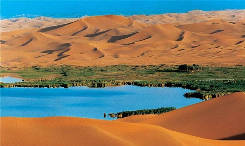 撒哈拉沙漠的周期性绿洲(撒哈拉沙漠环境)