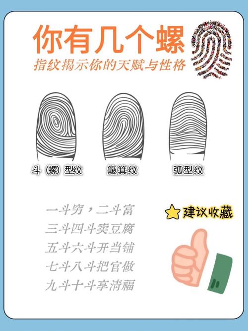 指纹形成背后的混沌理论(指纹混乱)