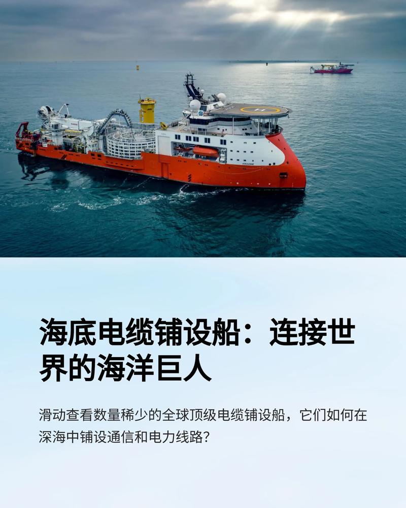 海底电缆干扰鲸鱼导航(海底电缆有什么用)