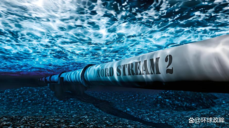 海底电缆干扰鲸鱼导航(海底电缆有什么用)