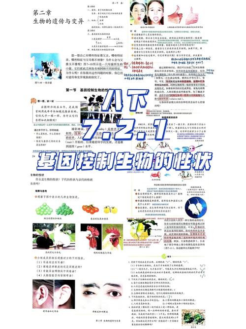 基因定制婴儿的阶级固化(基因定制婴儿的伦理学争议)