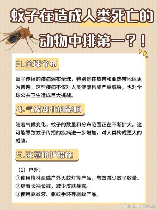 假如蚊子是濒危保护动物(假如蚊子有段位)