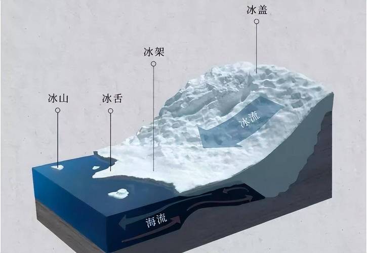 南极冰下湖的远古生态系统(南极冰下湖生物)