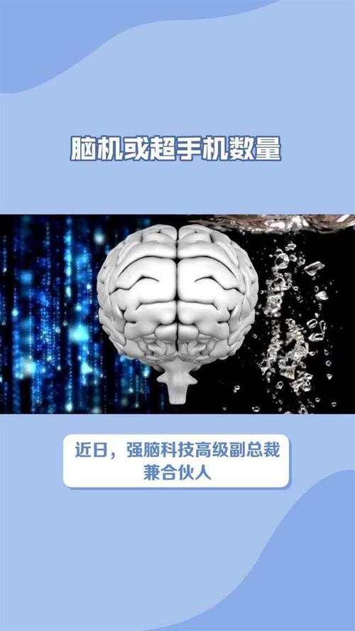 全球脑联网的集体癔症(全球脑数字科技有限公司)