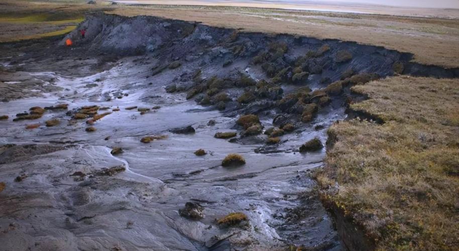 冻土融化释放的未知病毒(冻土融化释放的未知病毒是什么)