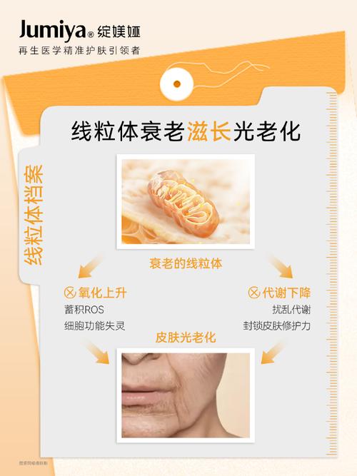 线粒体移植抗衰老案例(线粒体衰老会引起很多疾病,说说看,有哪些?)